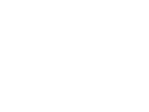 Blute's